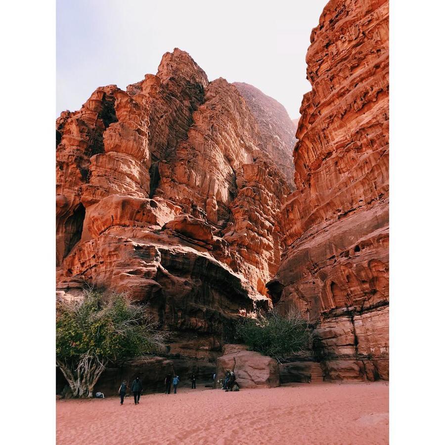 Wadi Rum Light Camp Exteriör bild